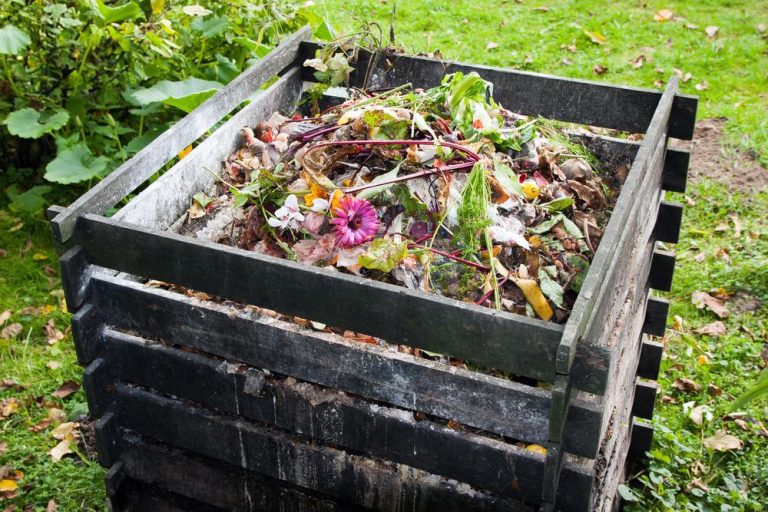 garden waste