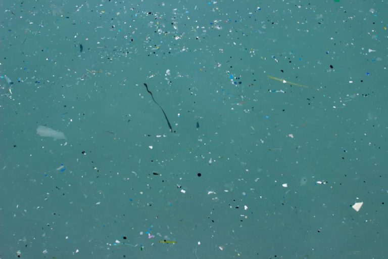MICROPLASTICS11
