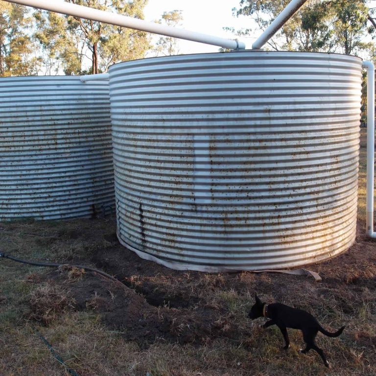 rain water tank
