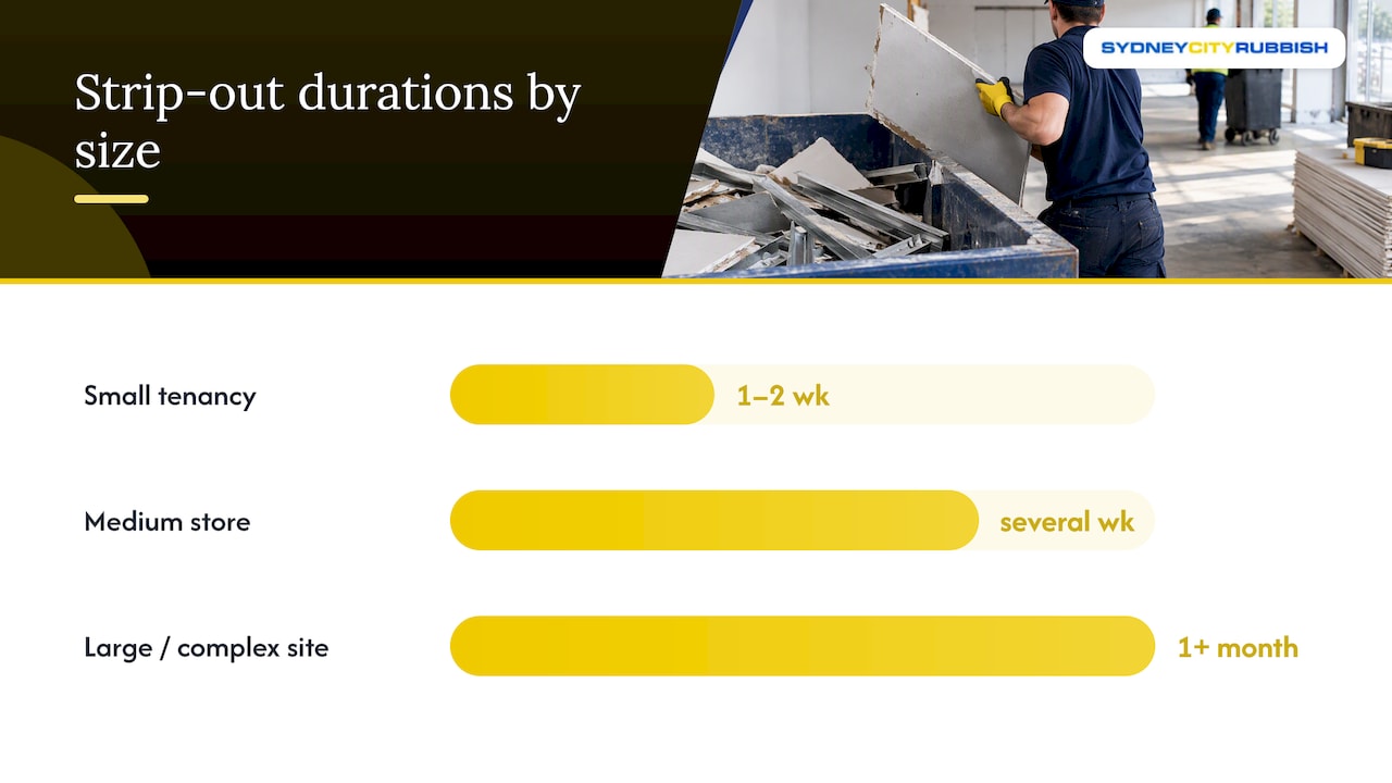 Timeline and cost considerations — overview diagram